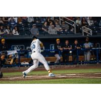 Biloxi Shuckers' Carlos Rodriguez at bat