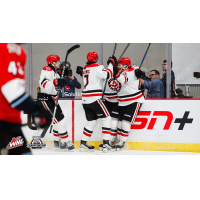 Moose Jaw Warriors celebrate win