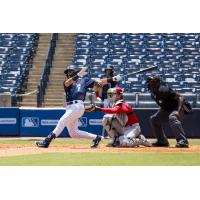Tampa Tarpons with a big swing