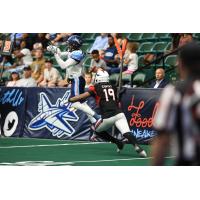 Jacksonville Sharks defensive back Richie Coffey zeroes in on a Frisco Fighters receiver