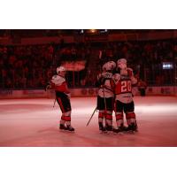 Kansas City Mavericks celebrate a goal