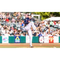 Charleston RiverDogs in action